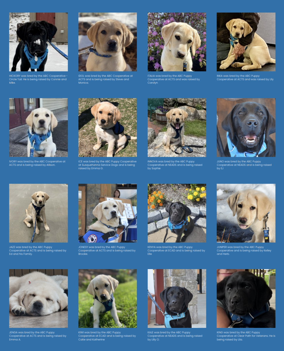 These are the current facility dogs in training listed on the Assistance Canine Training Services Web site. The hope is that one of these pups will soon be joining SHS.